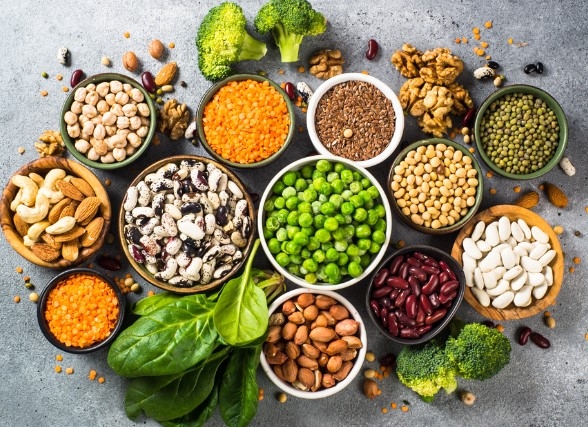 El Gobierno británico invertirá 15 millones de libras en un centro de comercialización de proteínas alternativas