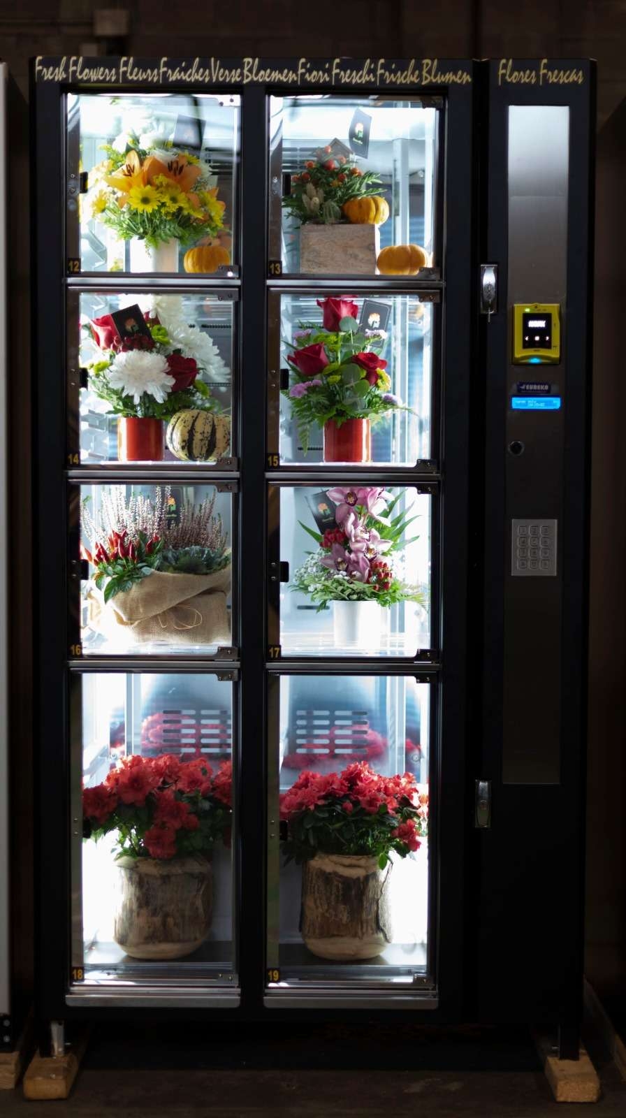 El vending de Eureka, un modelo de negocio que traspasa fronteras El vending de Eureka, un modelo de negocio que traspasa fronteras