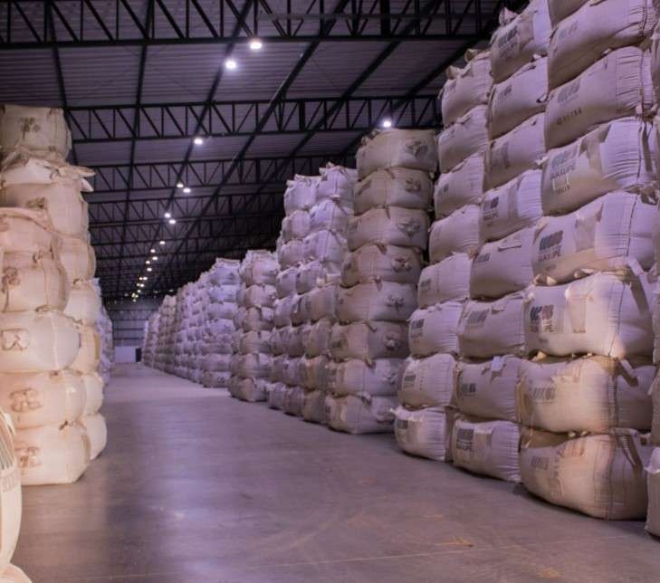 La taza del café siente los efectos del cambio climático La taza del café siente los efectos del cambio climático