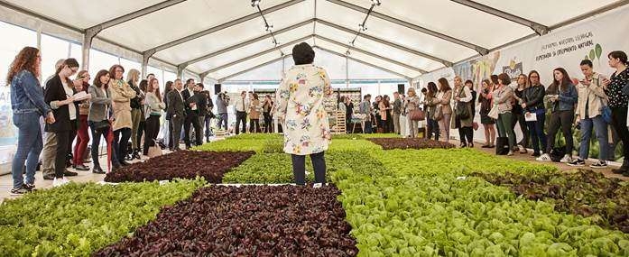 Las Ensaladas de Florette aportan el 45% del crecimiento del sector de vegetales frescos envasados Las Ensaladas de Florette aportan el 45% del crecimiento del sector de vegetales frescos envasados