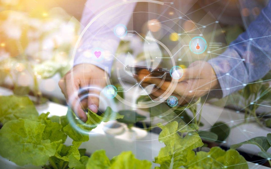 Las startups de foodtech españolas triplican su inversión con una facturación de 695 millones Las startups de foodtech españolas triplican su inversión con una facturación de 695 millones