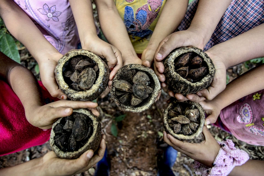 Lavazza y su compromiso con el planeta: café de “Deforestación Cero” en Etiopía Lavazza y su compromiso con el planeta: café de “Deforestación Cero” en Etiopía