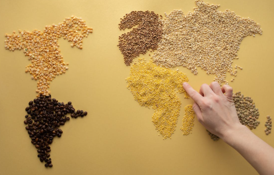 Los futuros del café en experimentan un impulso positivo en diciembre de 2023