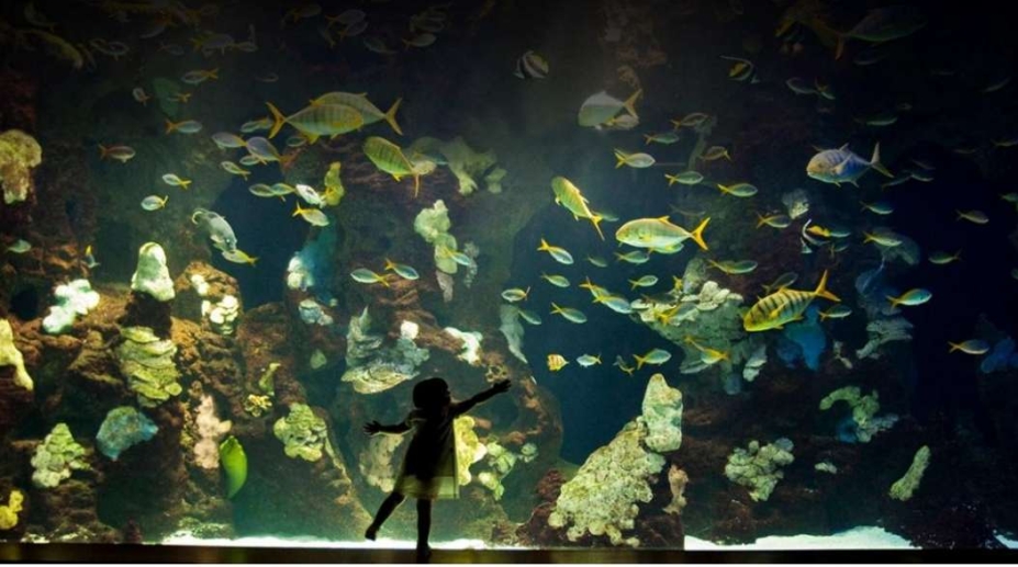 Mejor gestión, mejor empresa: el gran evento de la EVE para la distribución automática Mejor gestión, mejor empresa: el gran evento de la EVE para la distribución automática