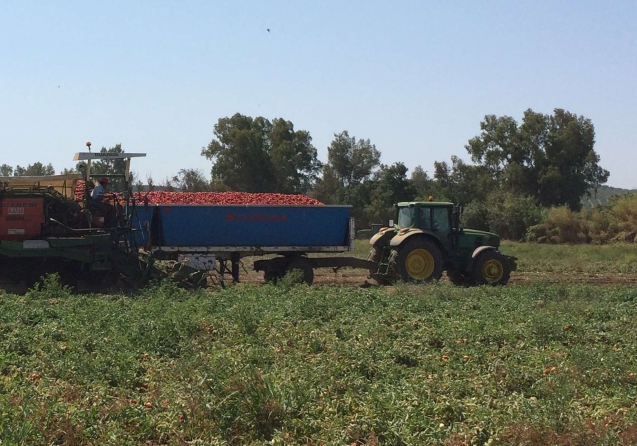 Nestlé dona más de 53 toneladas de tomate Solís para paliar los efectos del Covid-19 Nestlé dona más de 53 toneladas de tomate Solís para paliar los efectos del Covid-19