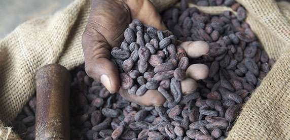 Nestlé se compromete a alcanzar las cero emisiones en 2050 Nestlé se compromete a alcanzar las cero emisiones en 2050