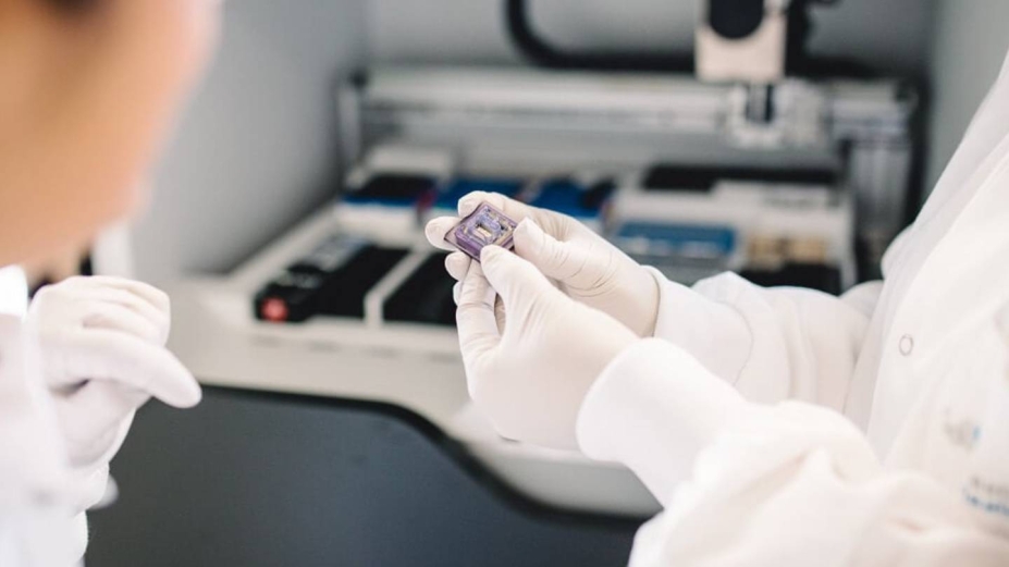 Nestlé utiliza la IA para cultivar un café más resistente al cambio climático Nestlé utiliza la IA para cultivar un café más resistente al cambio climático