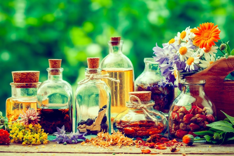 Las plantas medicinales incrementan su popularidad entre la población Las plantas medicinales incrementan su popularidad entre la población