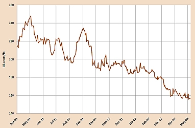 Las exportaciones de café se mantienen estables mientras el mercado diverge Las exportaciones de café se mantienen estables mientras el mercado diverge
