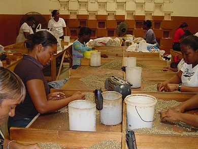 illy Café entregó los premios a sus mejores proveedores brasileños de café