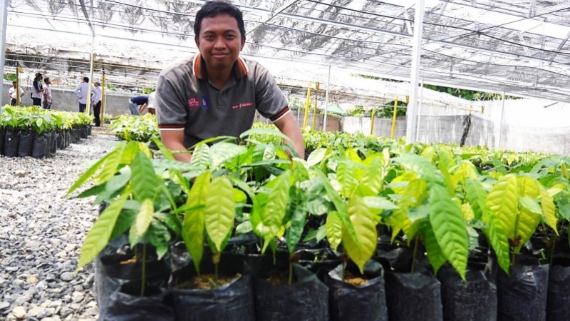 La innovación como clave para ayudar a los agricultores de Cacao en Indonesia
