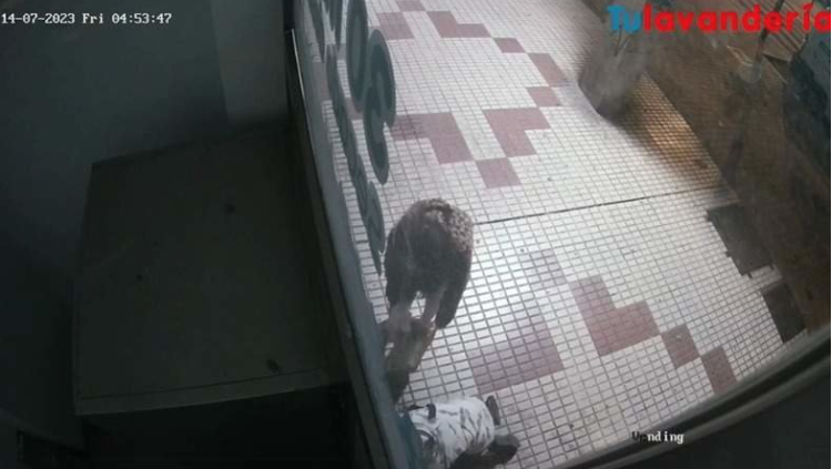 Un hurto en máquinas expendedoras frustrado por un extra de seguridad Un hurto en máquinas expendedoras frustrado por un extra de seguridad