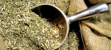 La yerba mate argentina apunta al vending para su expansión mundial La yerba mate argentina apunta al vending para su expansión mundial