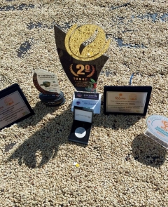 Cafés en granos verdes Cafés en granos verdes