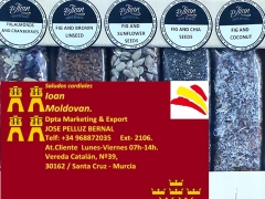 JOSE PELLUZ BERNAL JOSE PELLUZ BERNAL