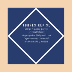 TORREES REP SL TORREES REP SL