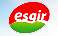 Esgir Esgir