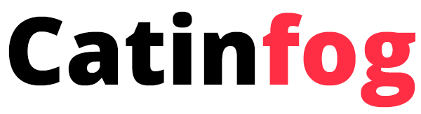 Catinfog Catinfog