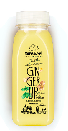 GL Import and Export