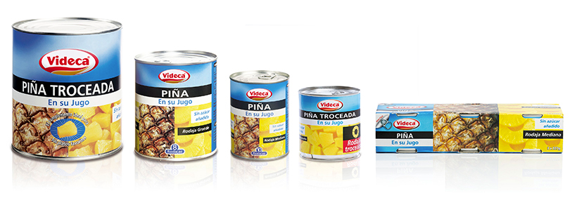 Grupo Videca, S.A