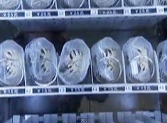 Bolsitas con cangrejos