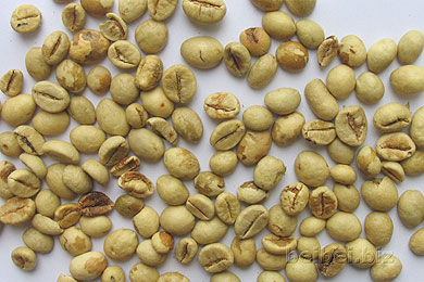 Variedad de cafés Robusta
