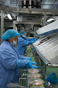 Florette duplica su producción de ensaldas de bol