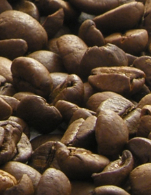 Kopi Luwak