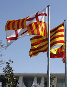 vending maquinas maquines machines expendedoras expendedores catalunya cataluña codigo consumo