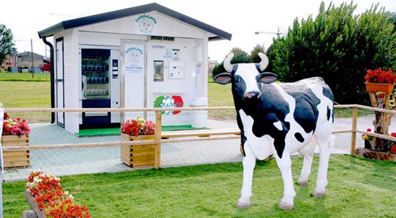 leche expendedoras vending maquina maquinas machines 