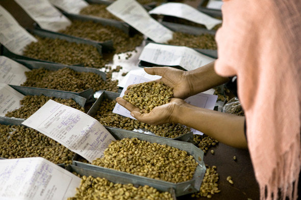 La demanda de café no se verá afectada por la crisis económica mundial