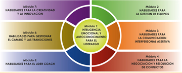 iir spain foro asesoramiento webseminar