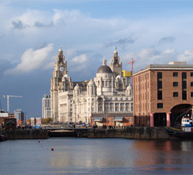 concurso vending expendedoras maquinas machines licitacion