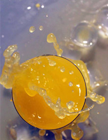 refrescos bebidas latas vending expendedoras maquinas machines 