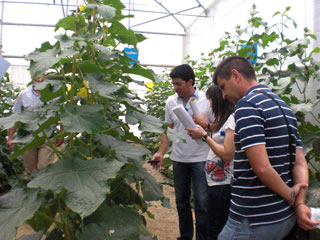 snacks vending maquinas expendedoras aperitivos hortalizas verduras saludable sano fruta