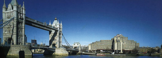 Las empresas alimentarias del Reino Unido contarán con asesoramiento sobre grasas saturadas