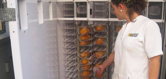 pan vending barras maquinas expendedoras vendingpan