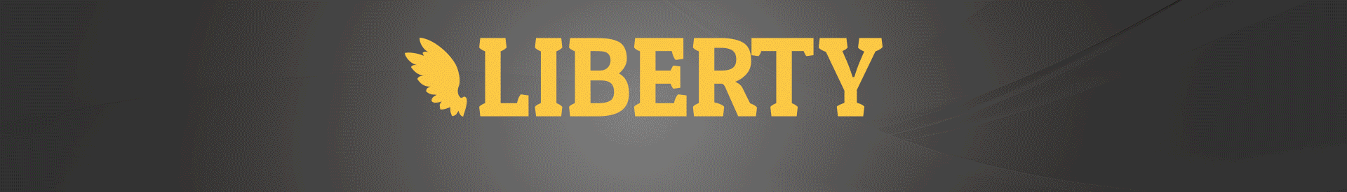 Megabanner UA vending